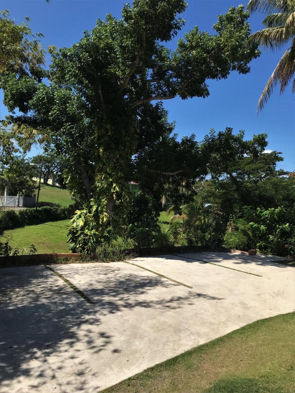 Isla Hermosa Guesthouse Vieques Exterior photo